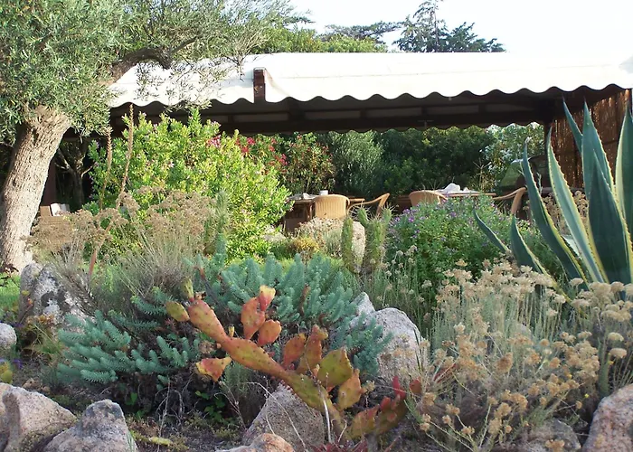 Hotel Club Ragno D'oro